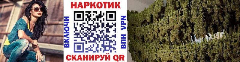 Где купить Реутов Альфа ПВП  ГАШИШ 
