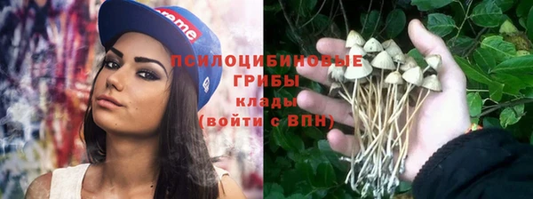 мдма Белокуриха